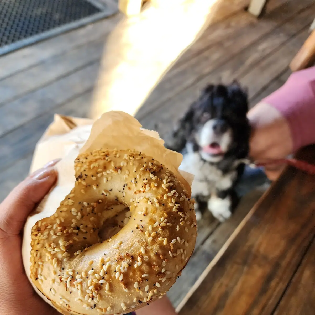 Choose Your Bagel