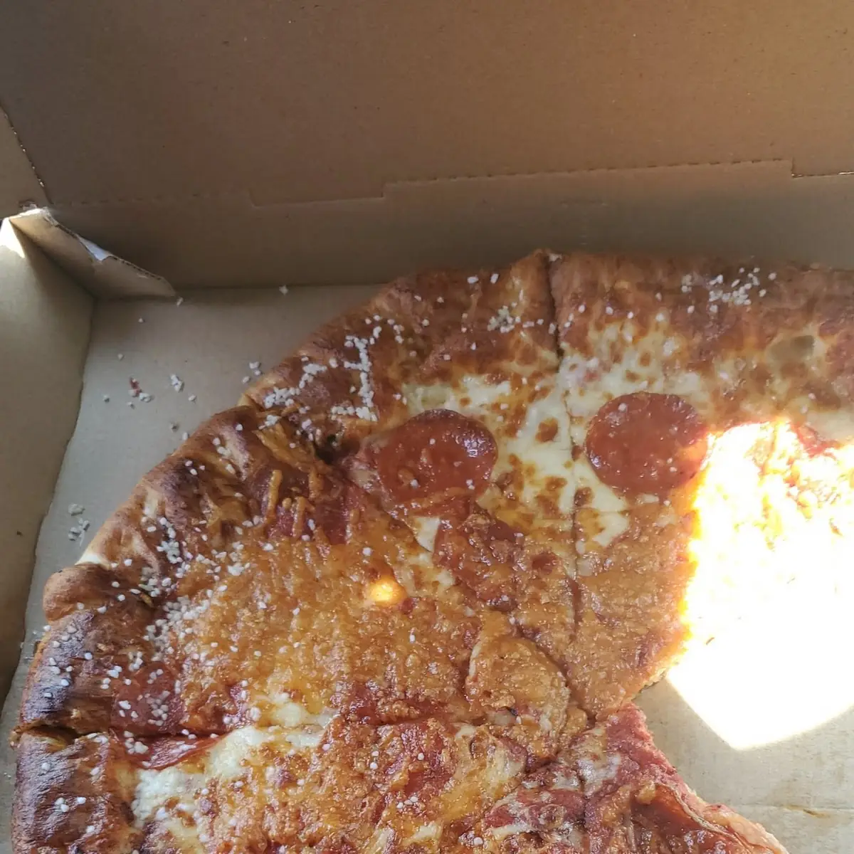 Pretzel Pizza