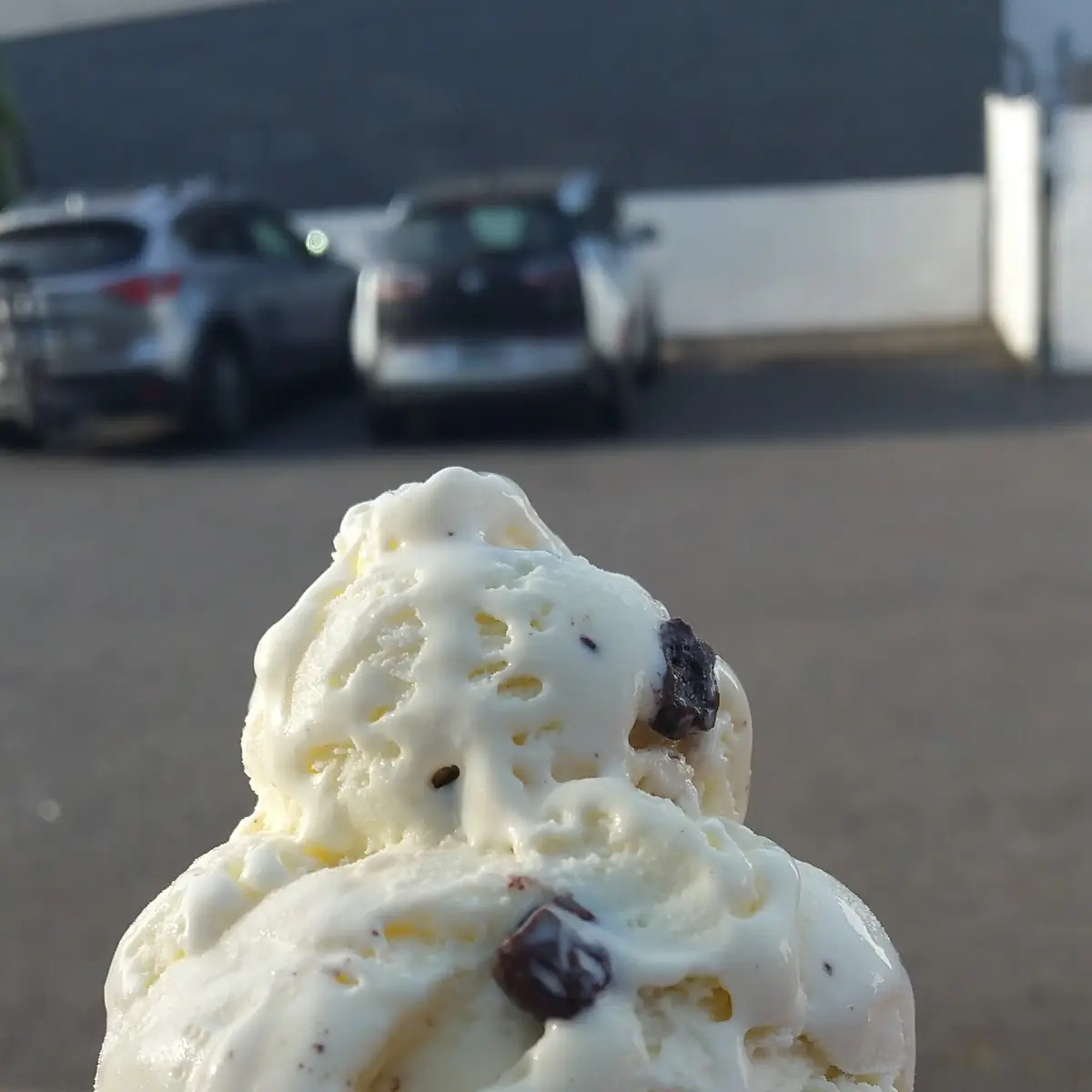 Vanilla Chocolate Chip