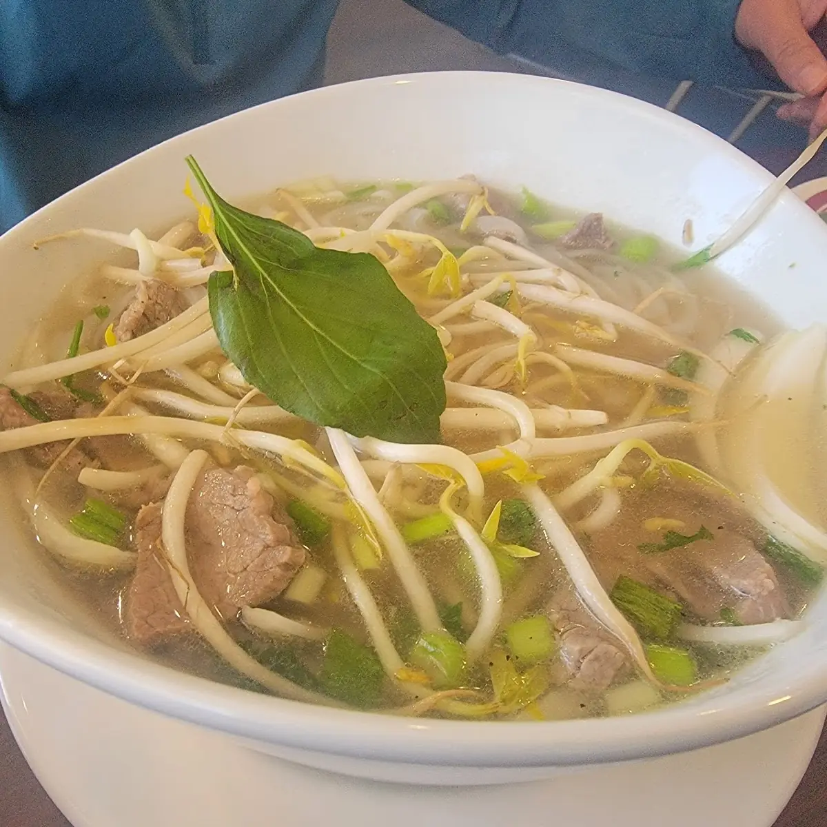 21 Vietnamese Noodle Soup (Pho)