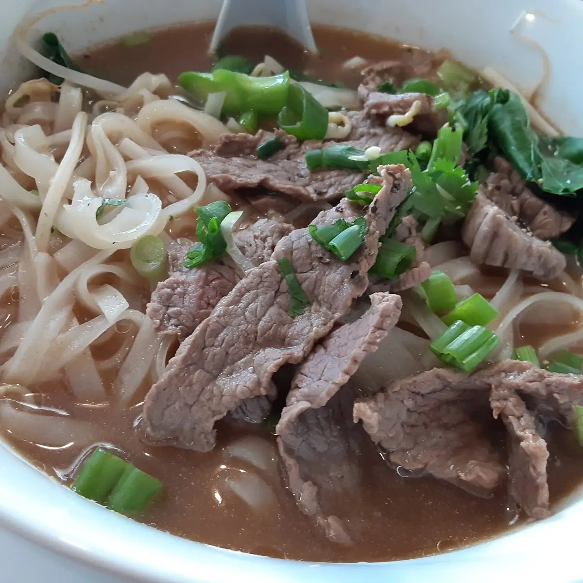 Steak Noodles Soup