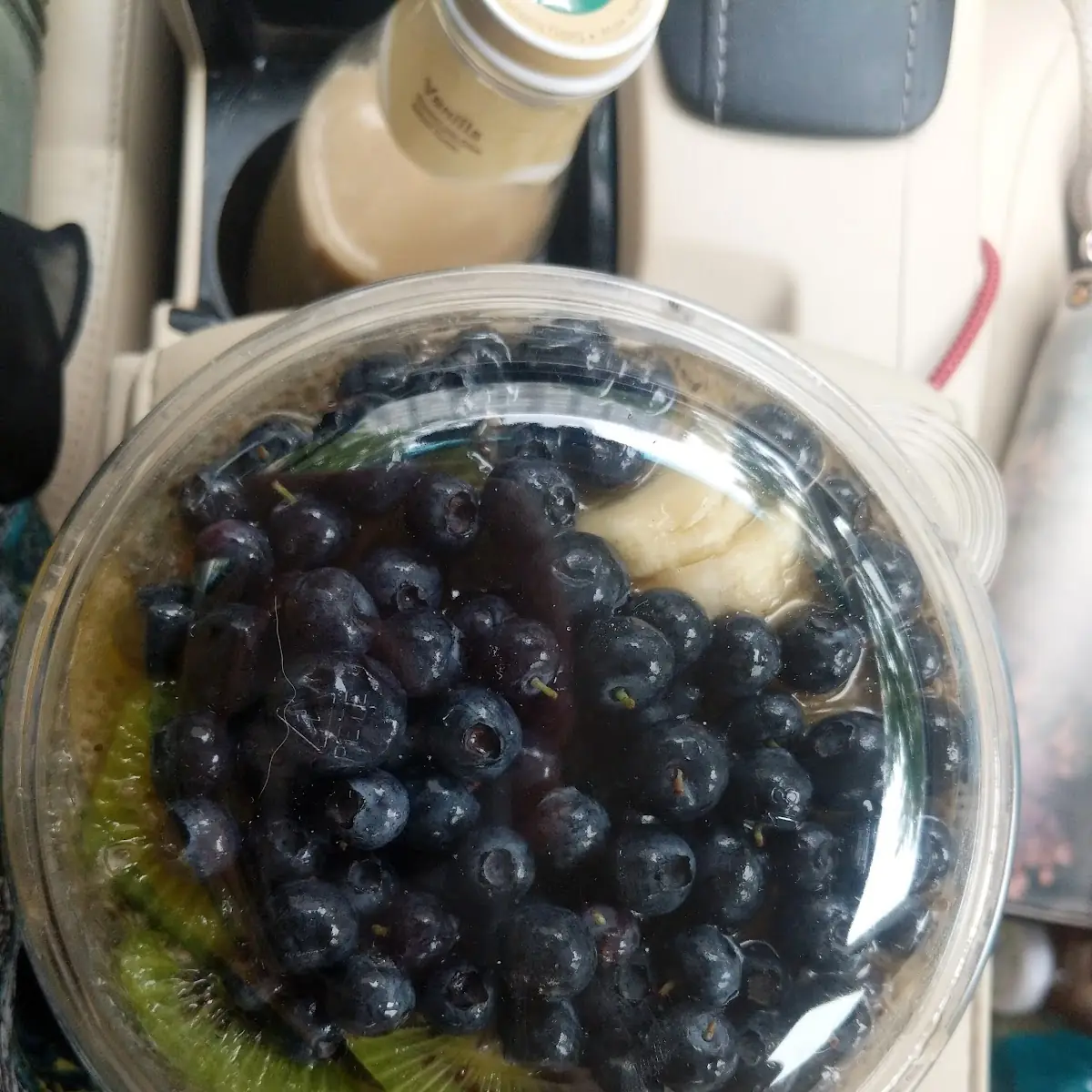 Grass Jelly