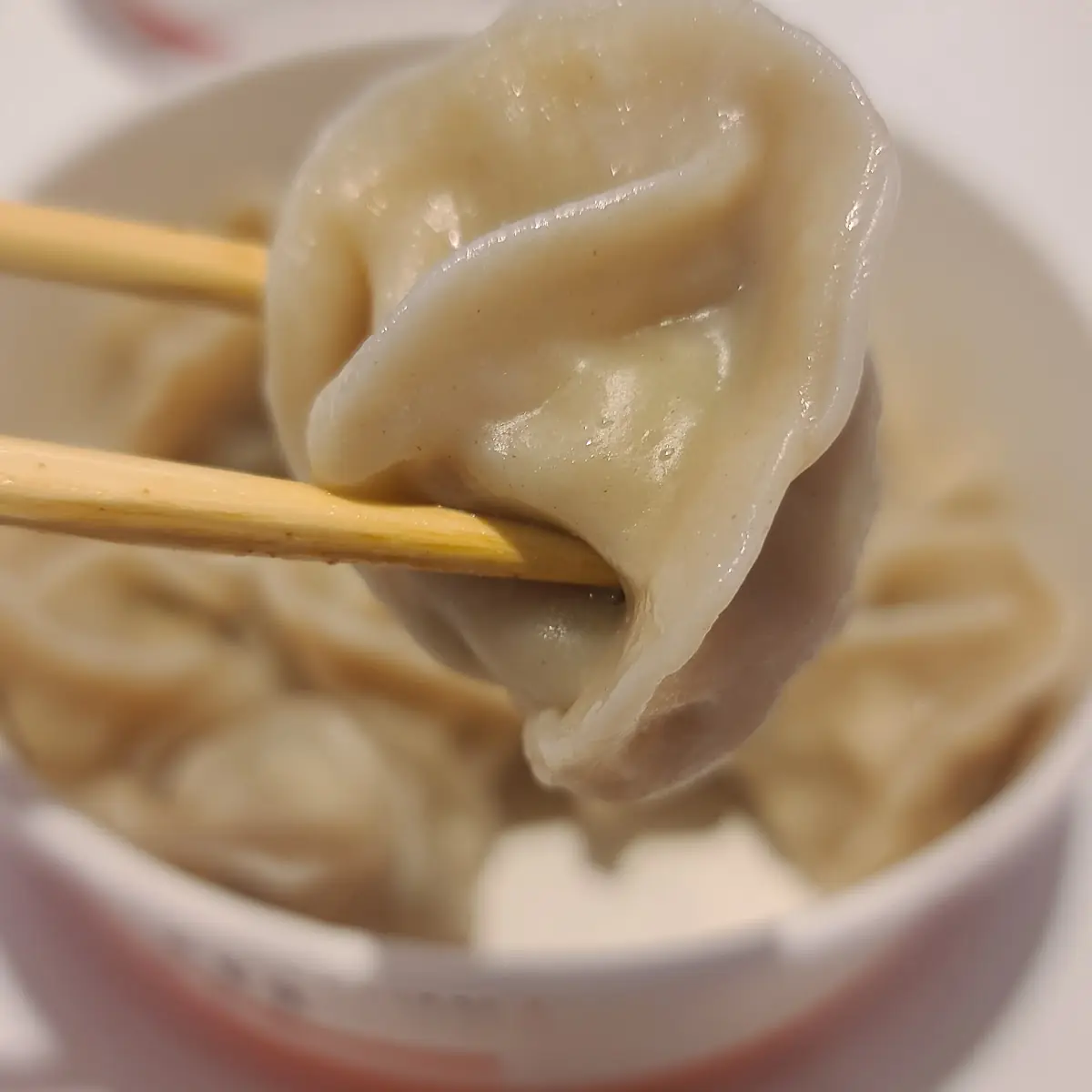 Steamed Dumplings