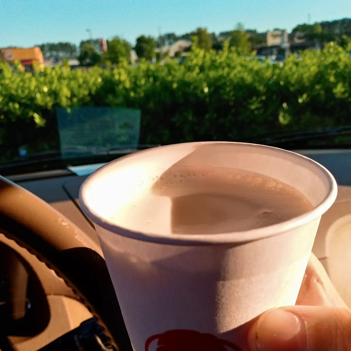 Small Vanilla Frosty