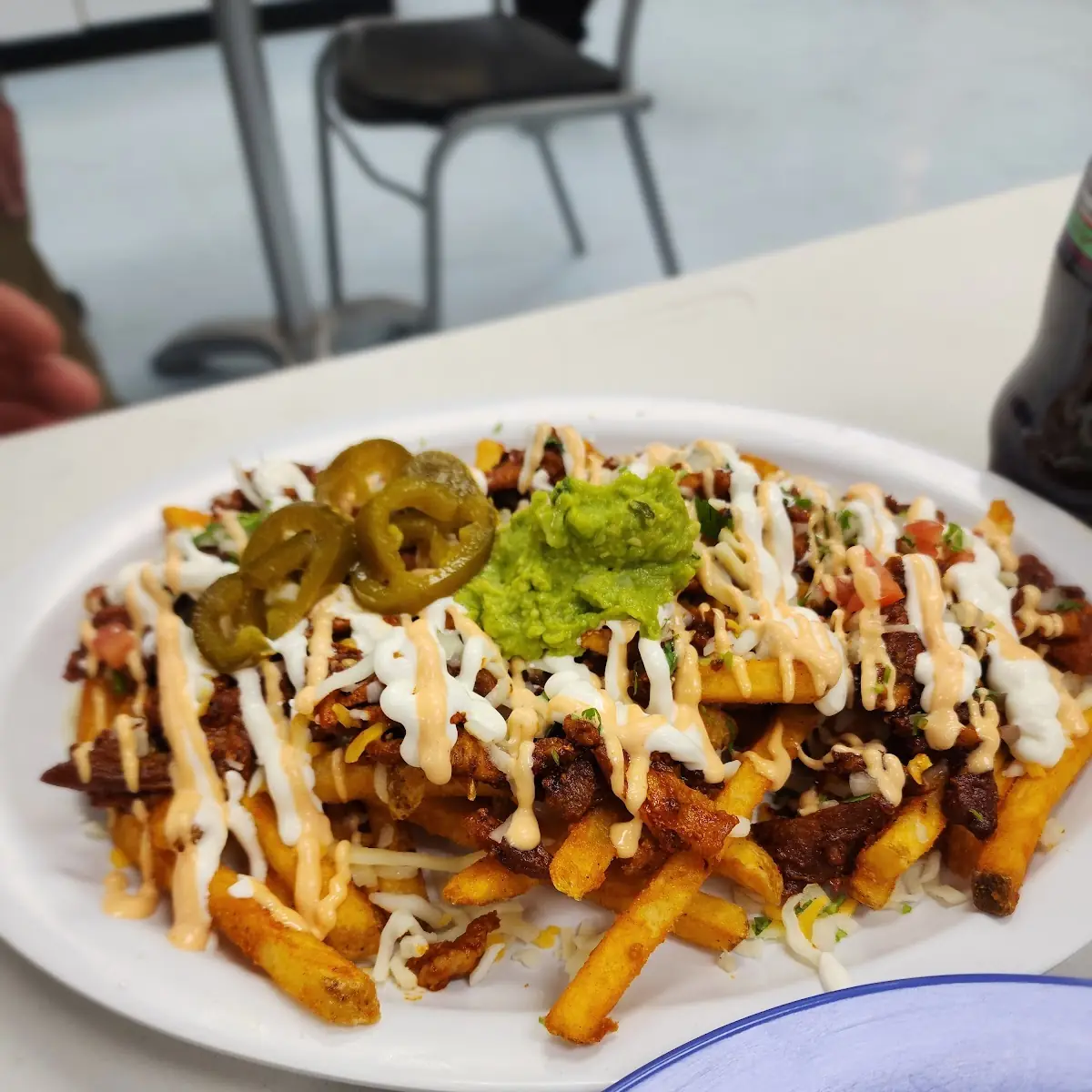 Carne Asada Fries