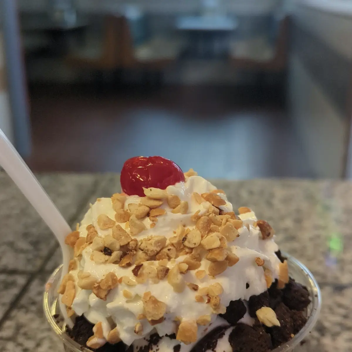 Hot Fudge Sundae w Peanuts
