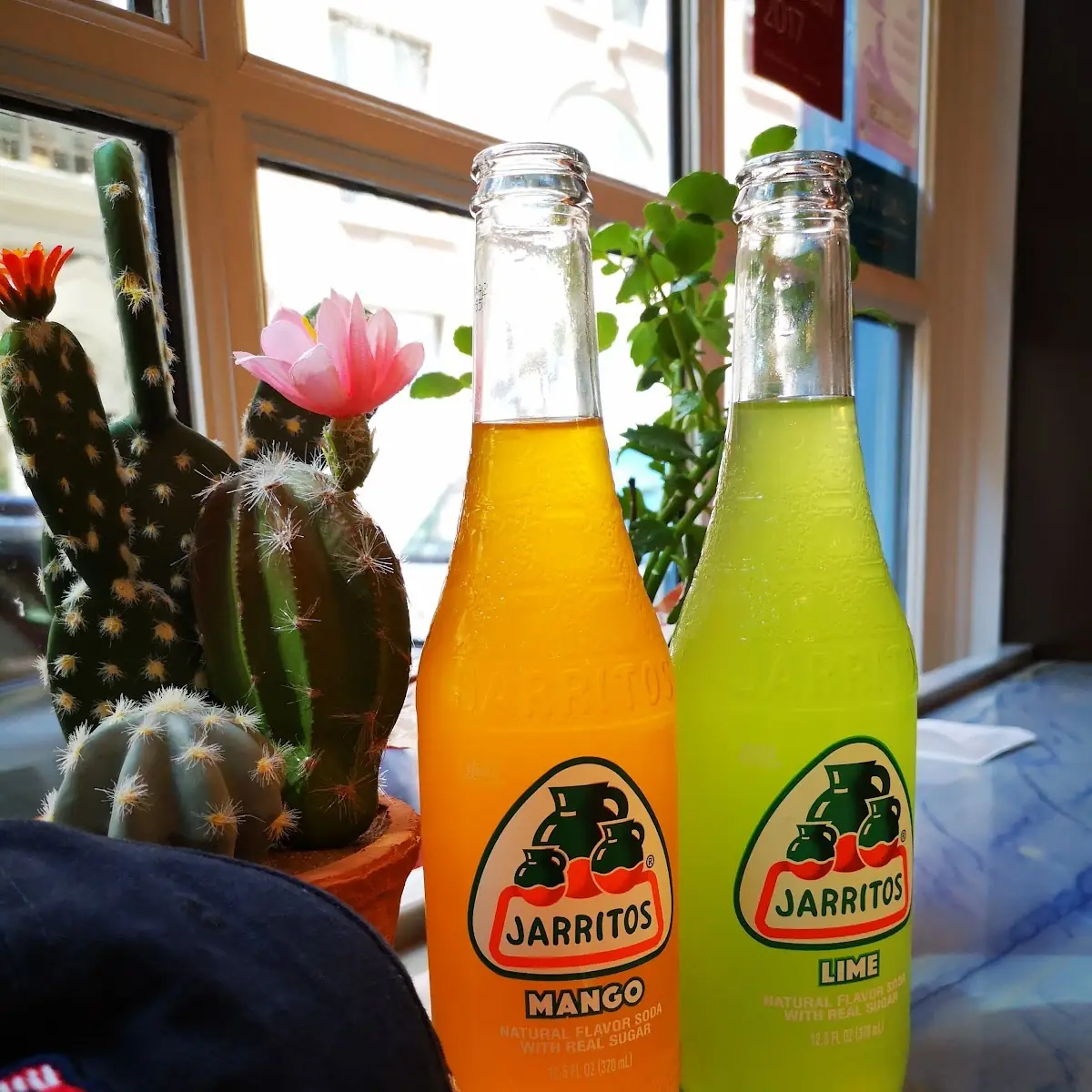 Mexican Sodas