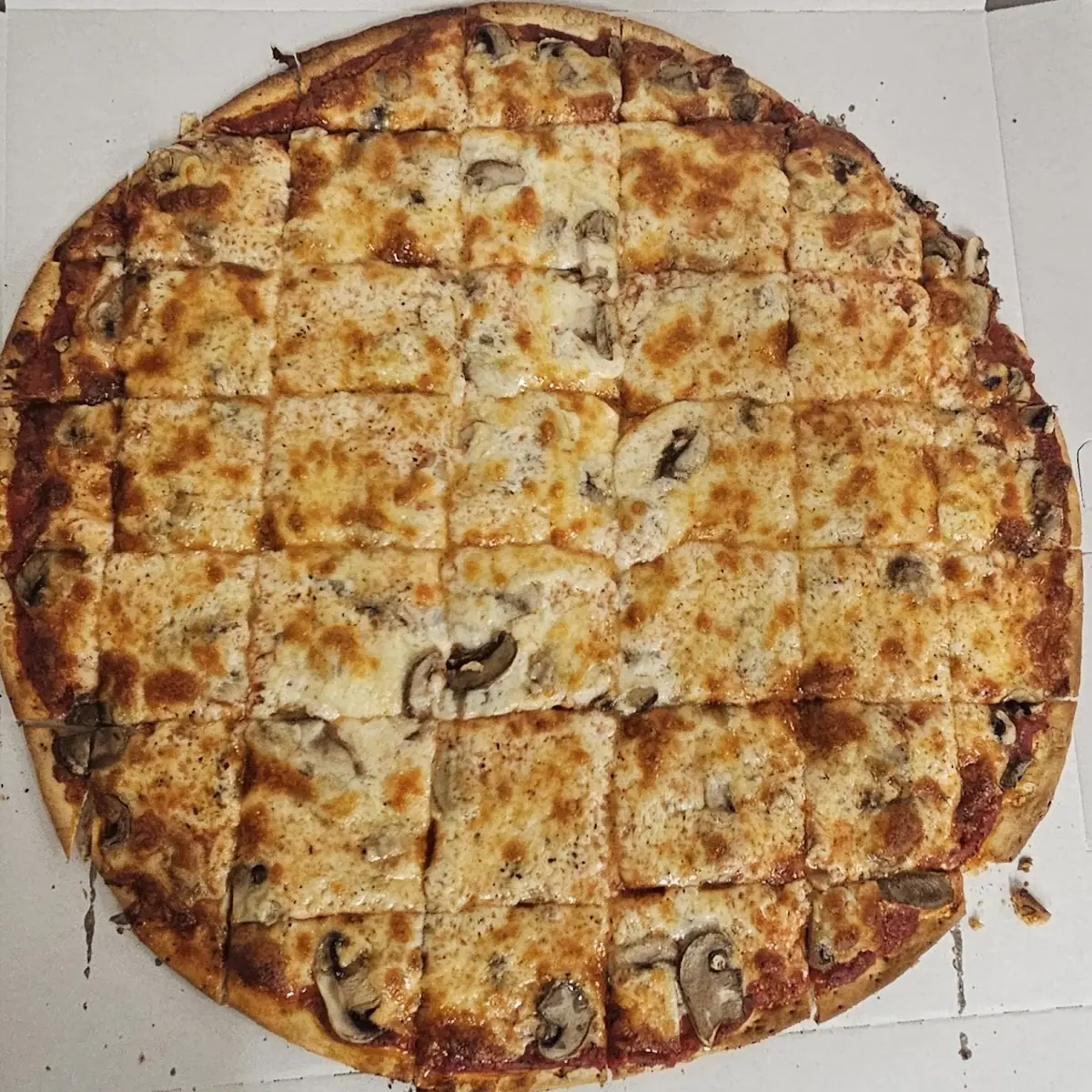 Mushroom Pizza