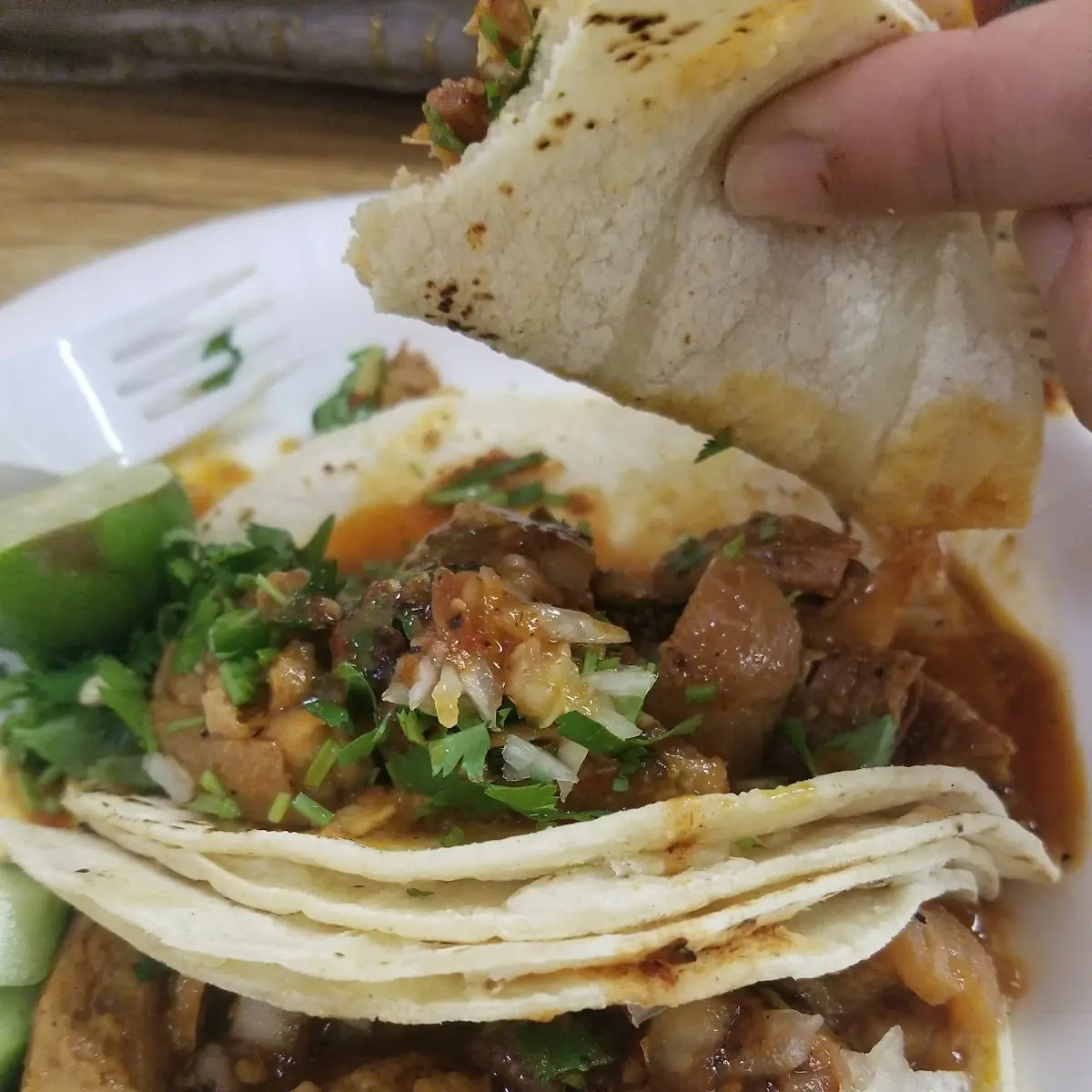 Chicharrón Tacos
