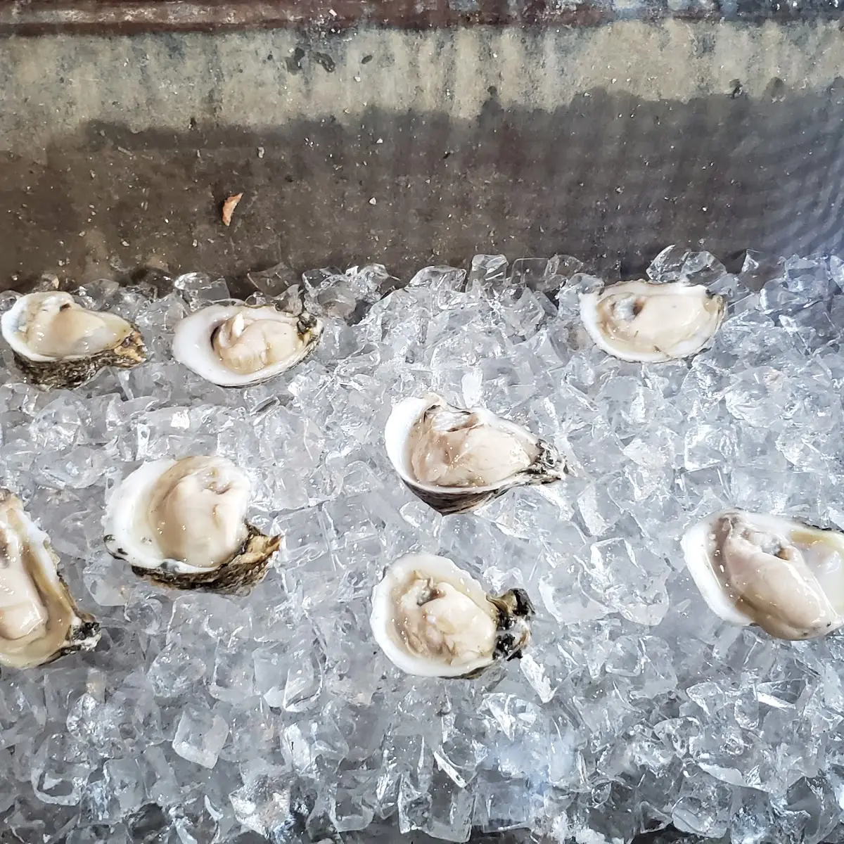 Oysters on the Half Shell