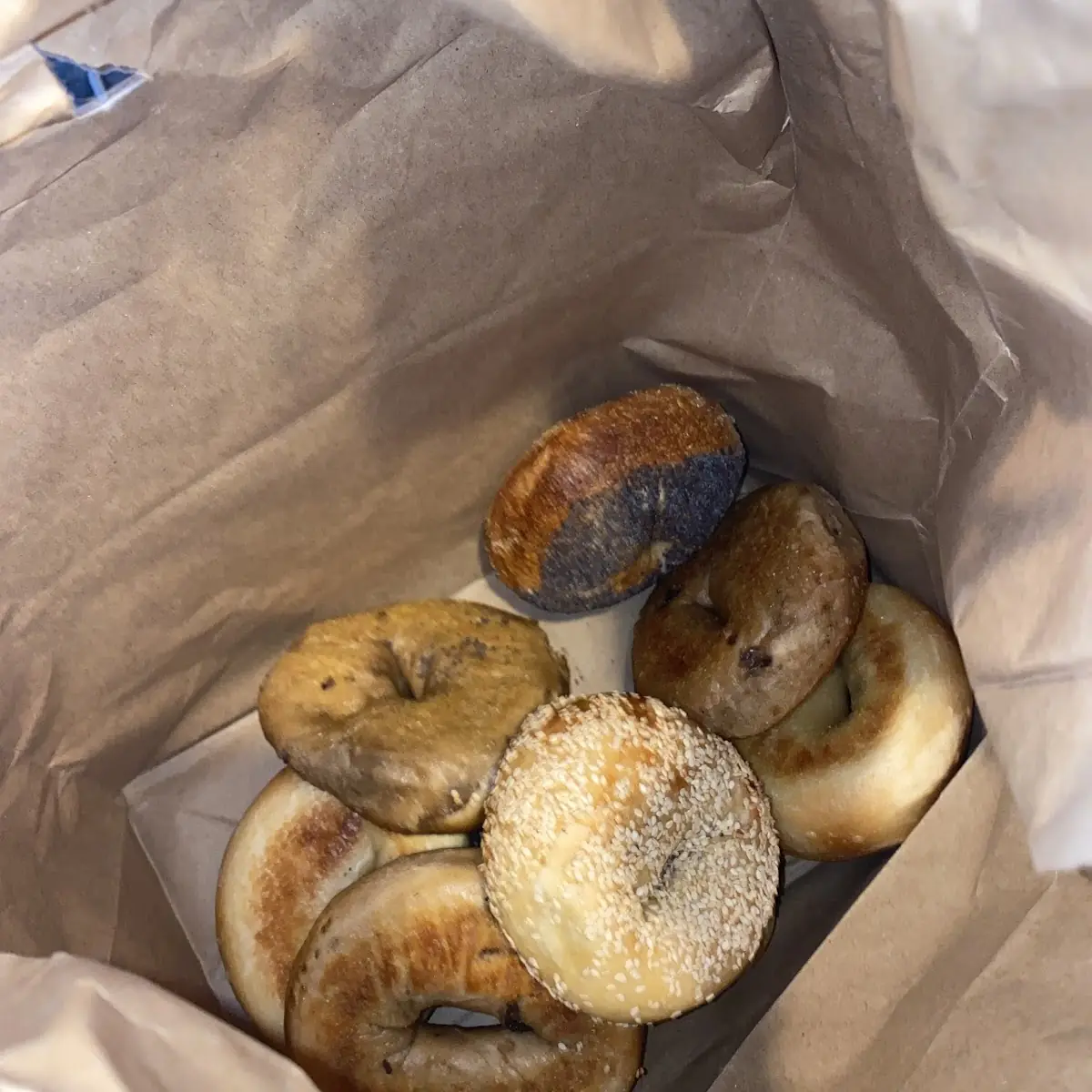 Half Dozen 6 Bagels