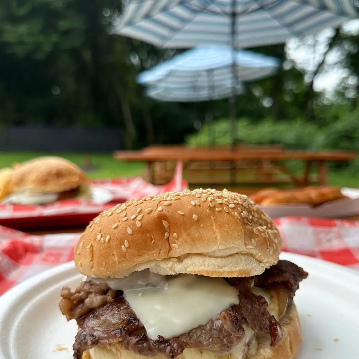 Ribeye Steak Sandwich