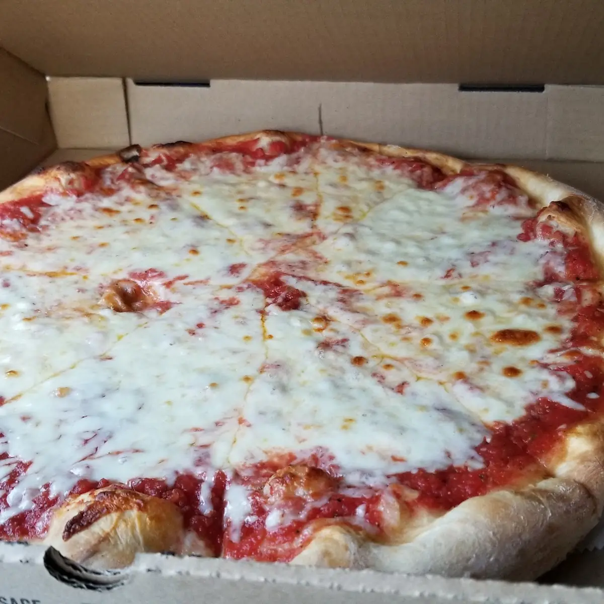 Extra Cheese Pizza