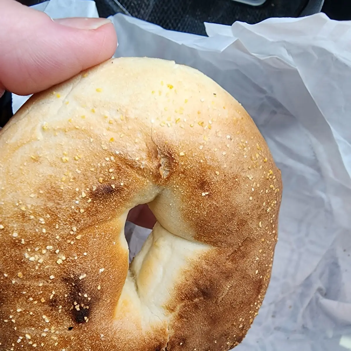 Everything Bagel