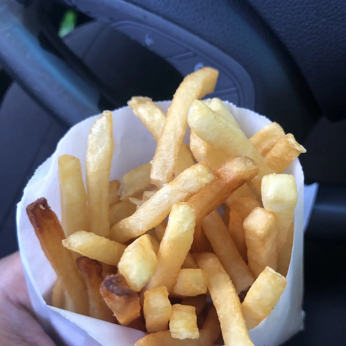 World Famous Fries