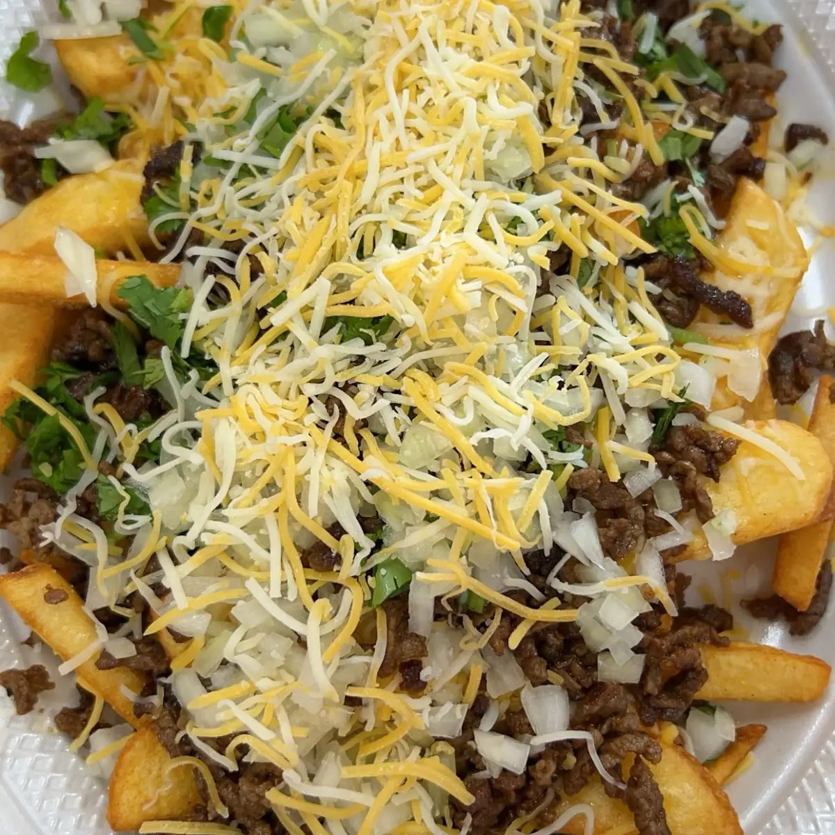 Carne Asada Fries