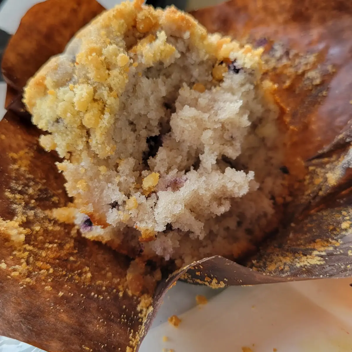 Blueberry Muffin