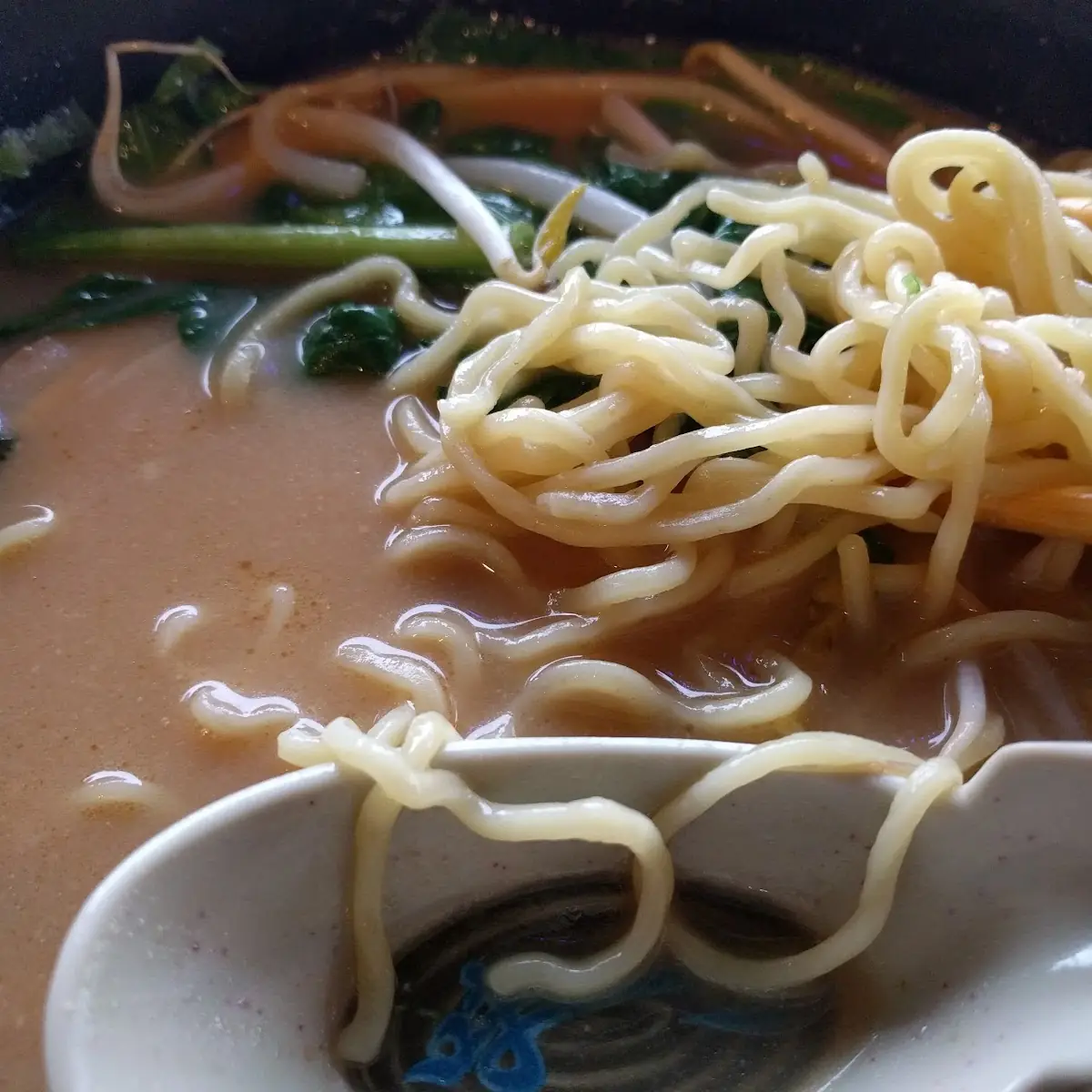 Tonkostu Shoyu Ramen