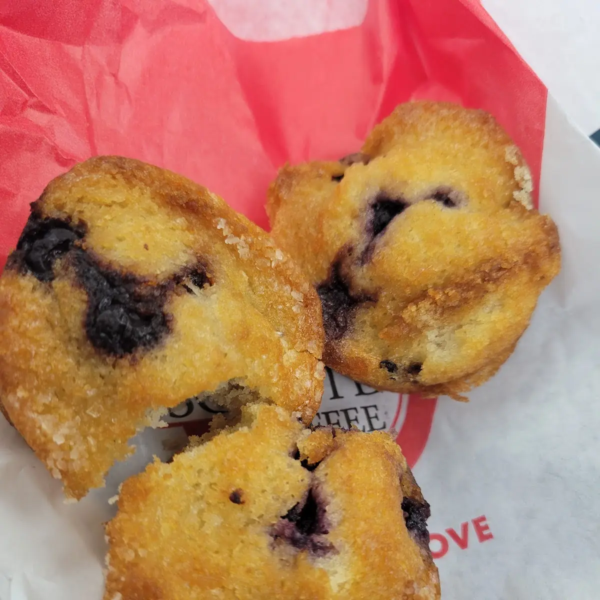 Blueberry Muffin
