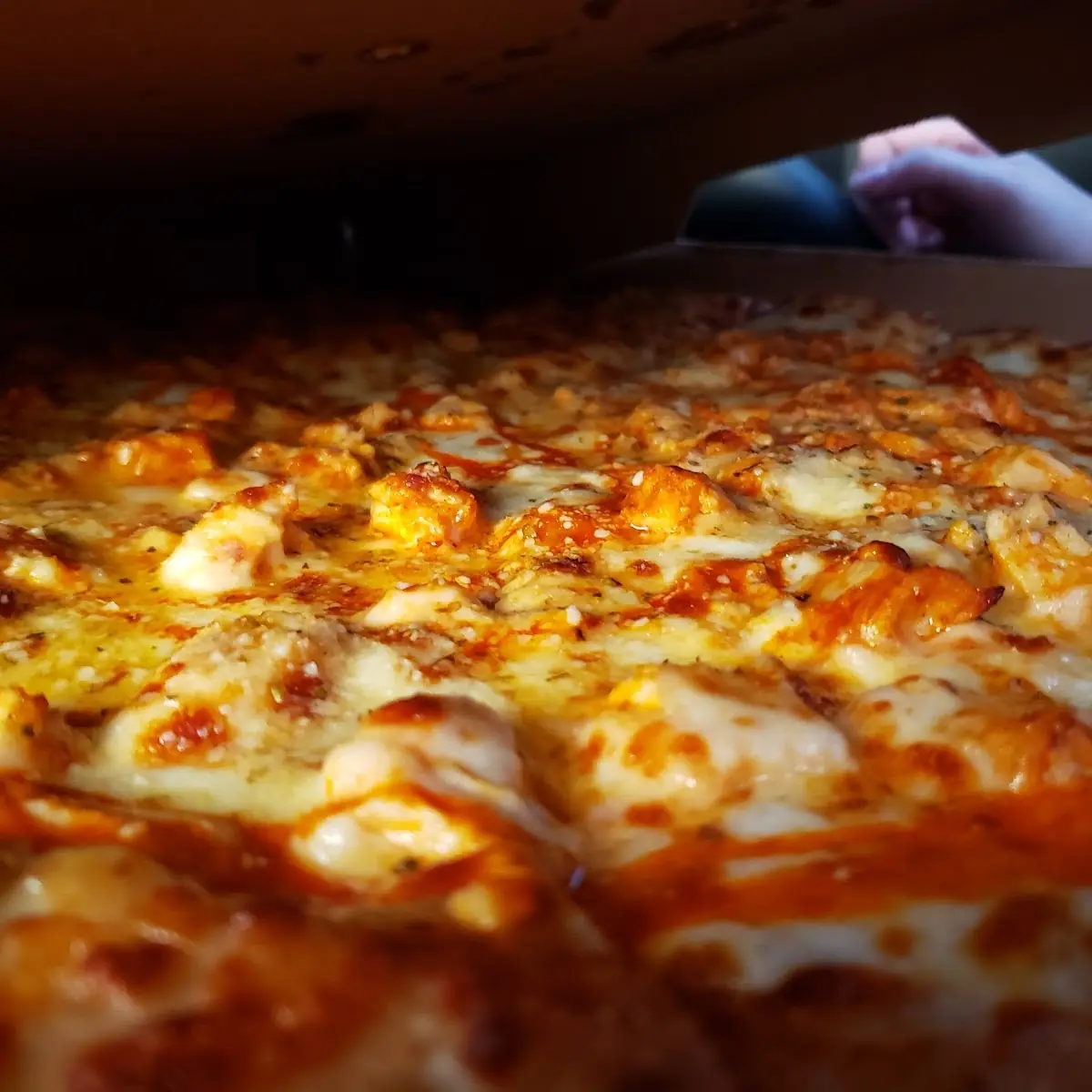 X Large Buffalo Chicken Pizza