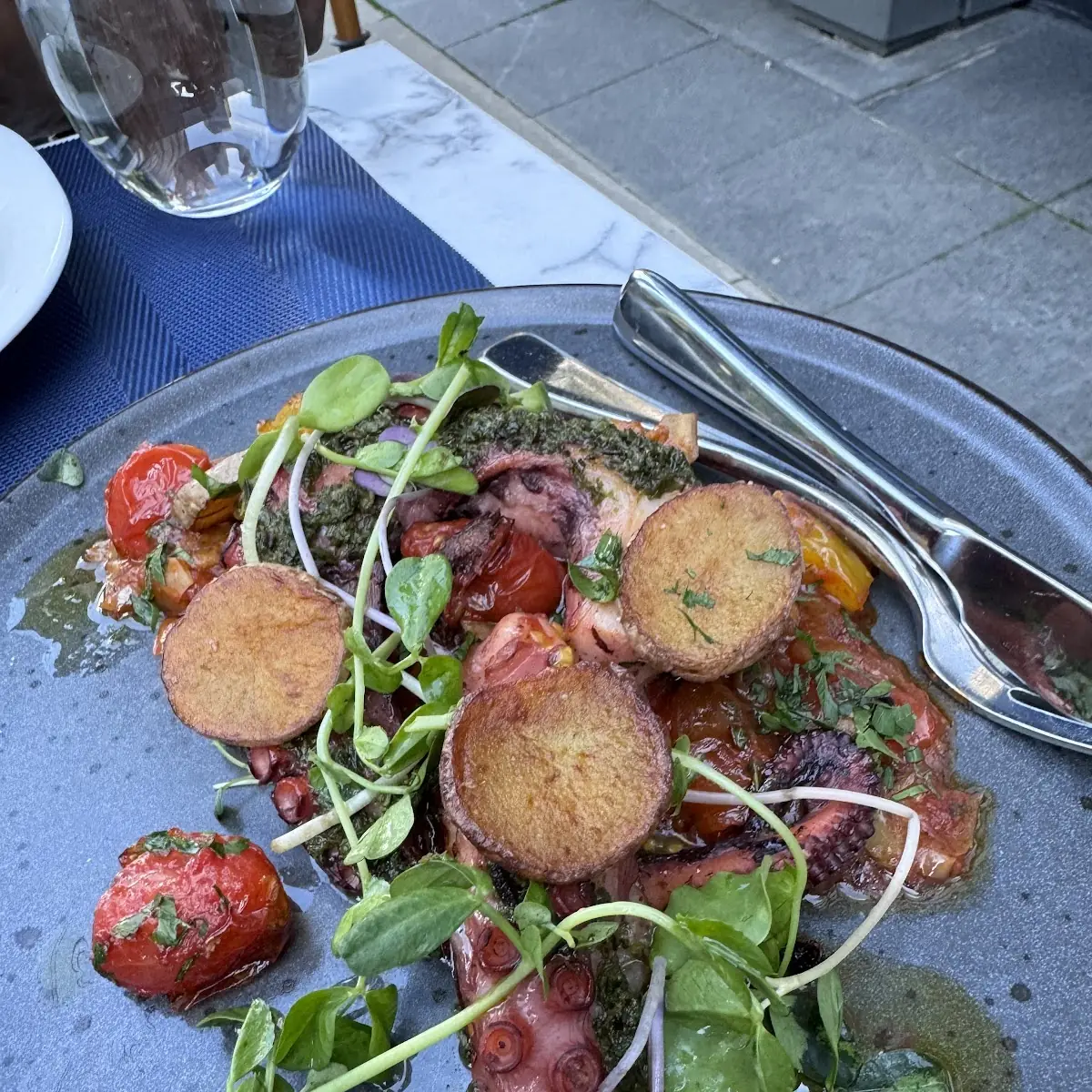 Octopus