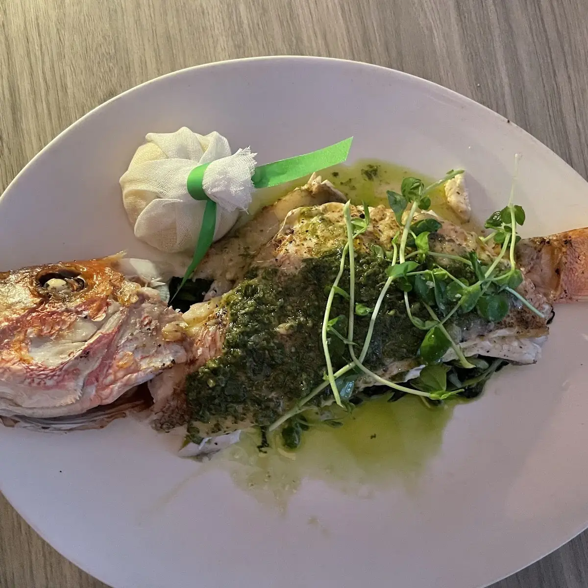 Red Snapper
