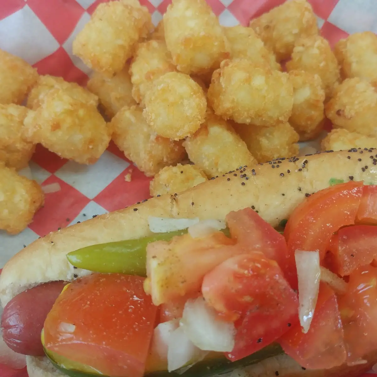 Chicago Style Hot Dog