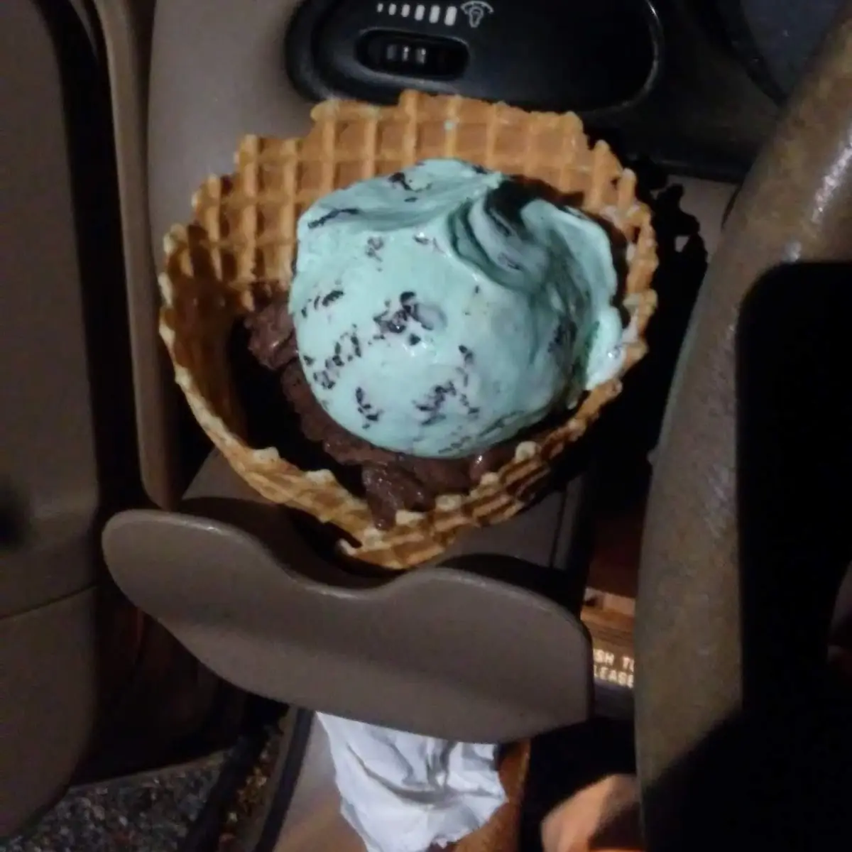 Chocolate Chip