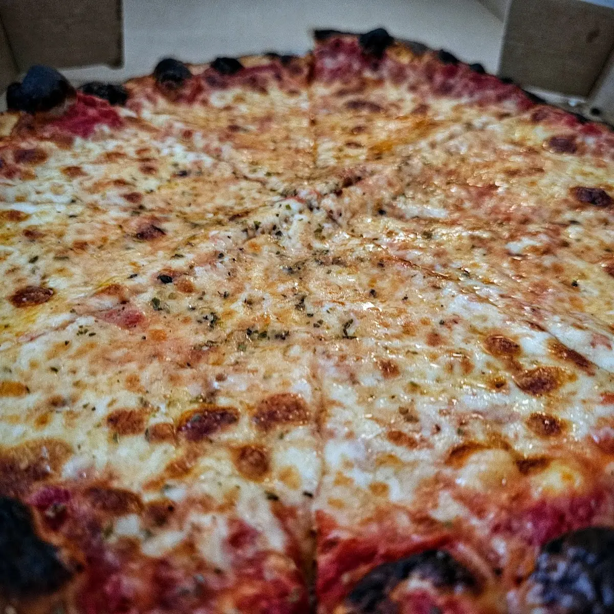 Cheese Pizza