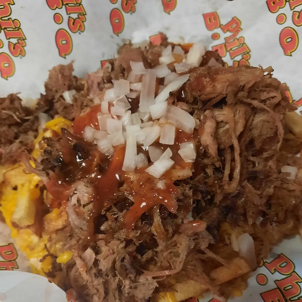 Pulled Pork Fries