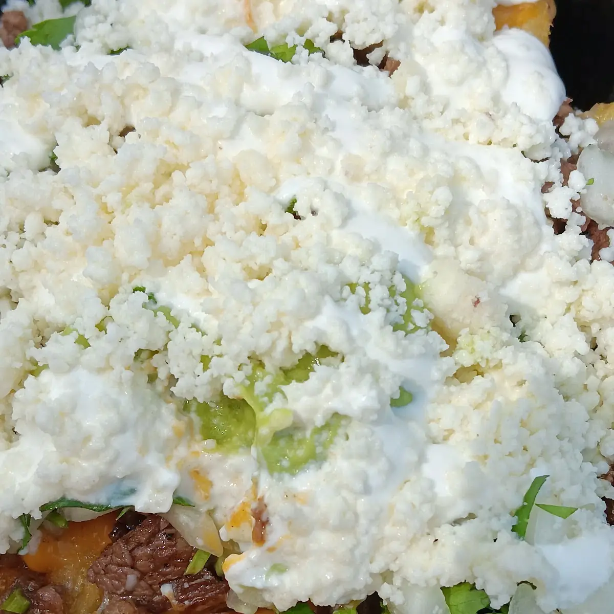 Loaded Fries with Beef
