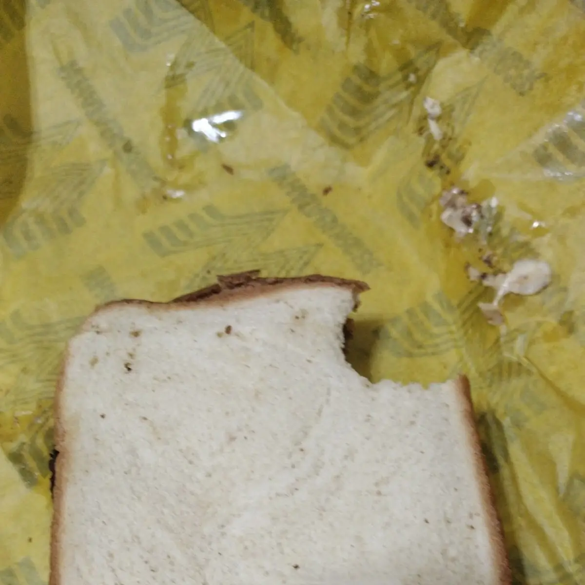 Patty Melt Sandwich