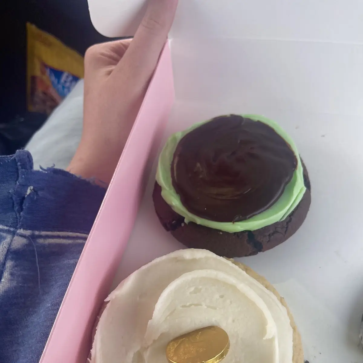 Mint Chocolate and Vanilla Cookie