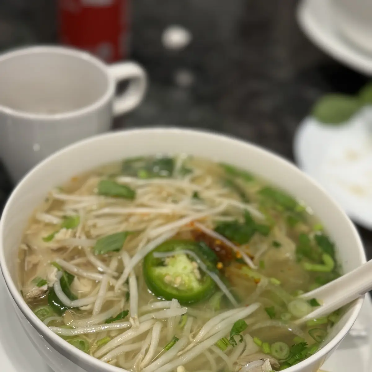 Beef Noodle Soup with Fresh Basil