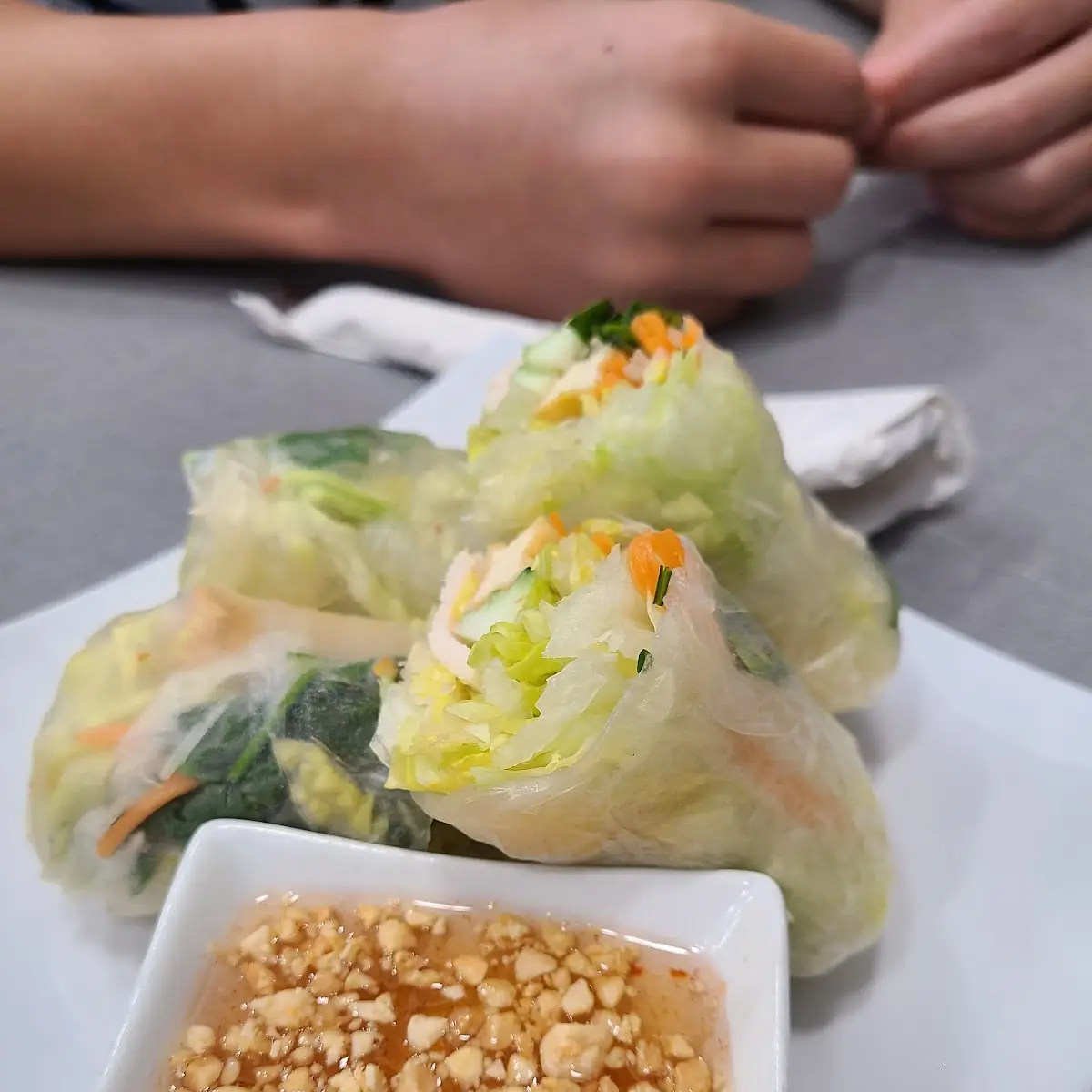 Vegetable Spring Roll