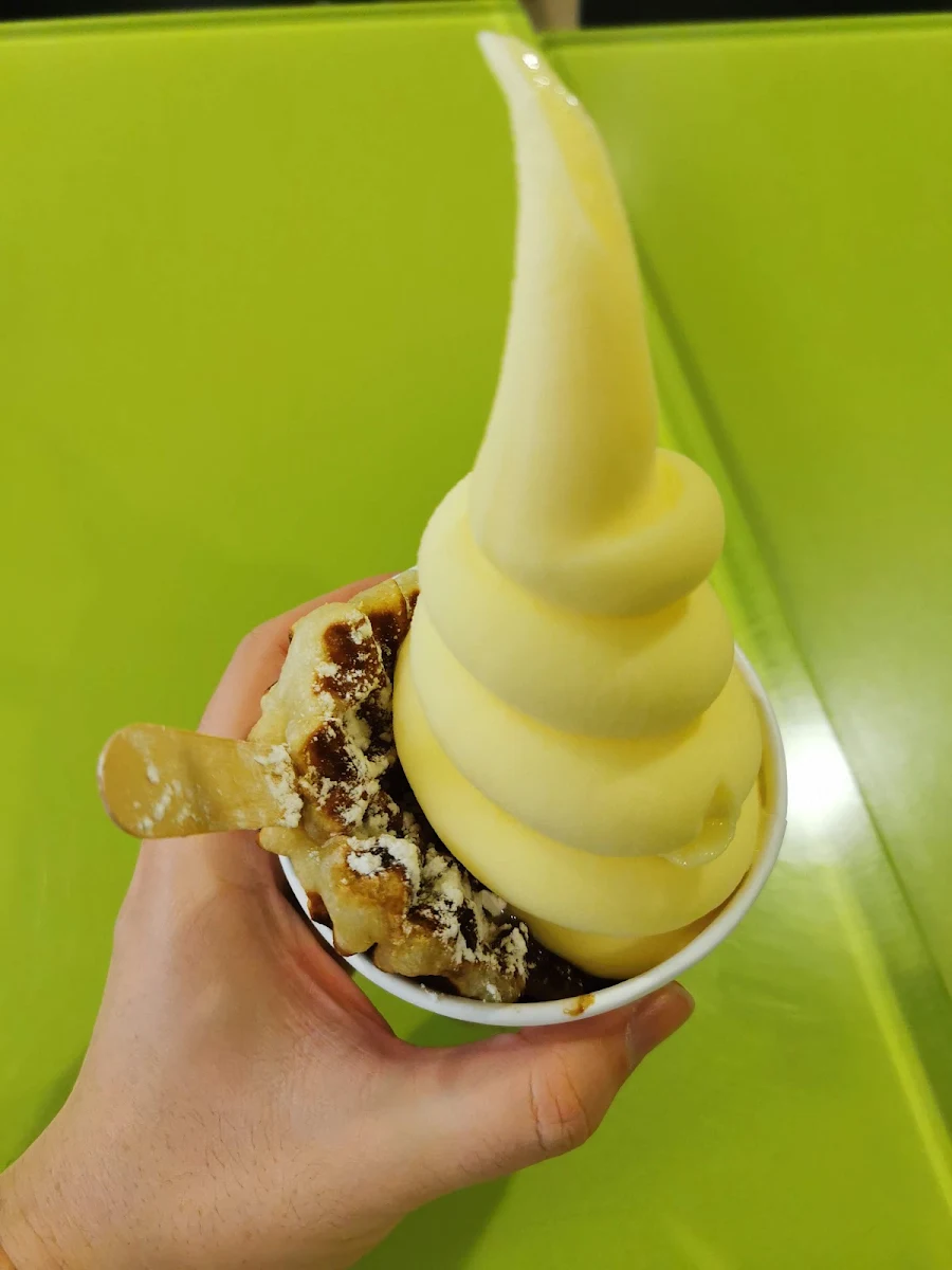 Frozen Yogurt