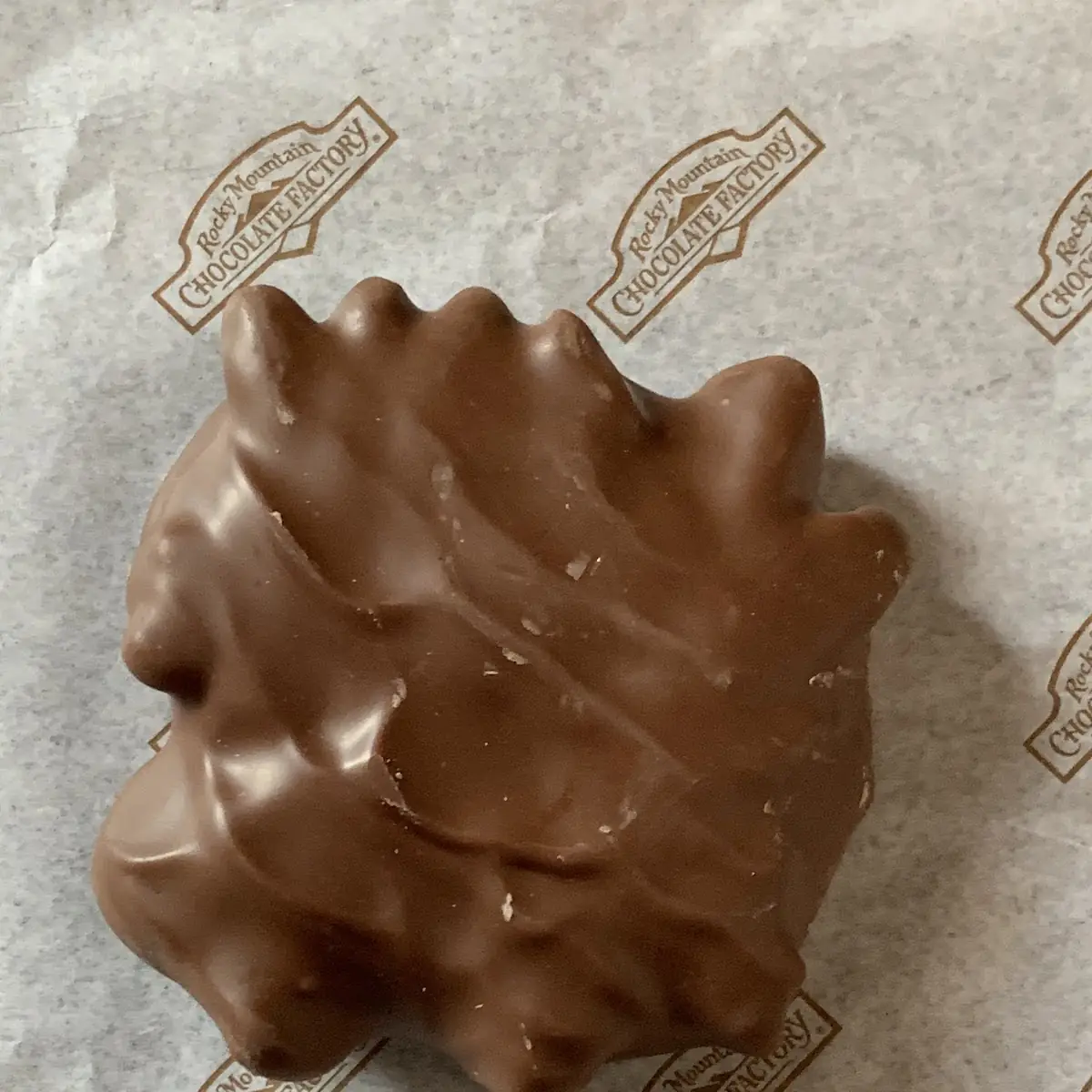 Milk Chocolate Candy Bar