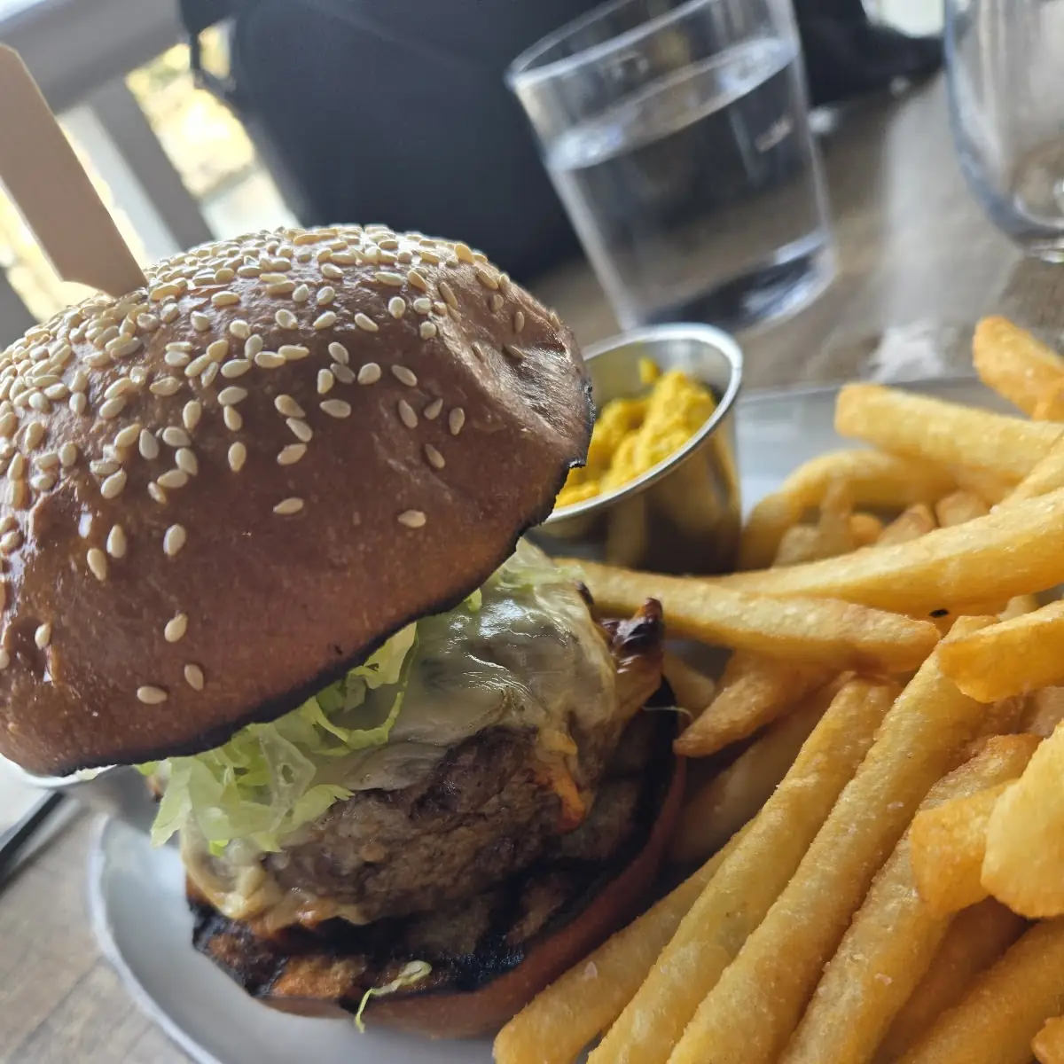 Burger and Fries