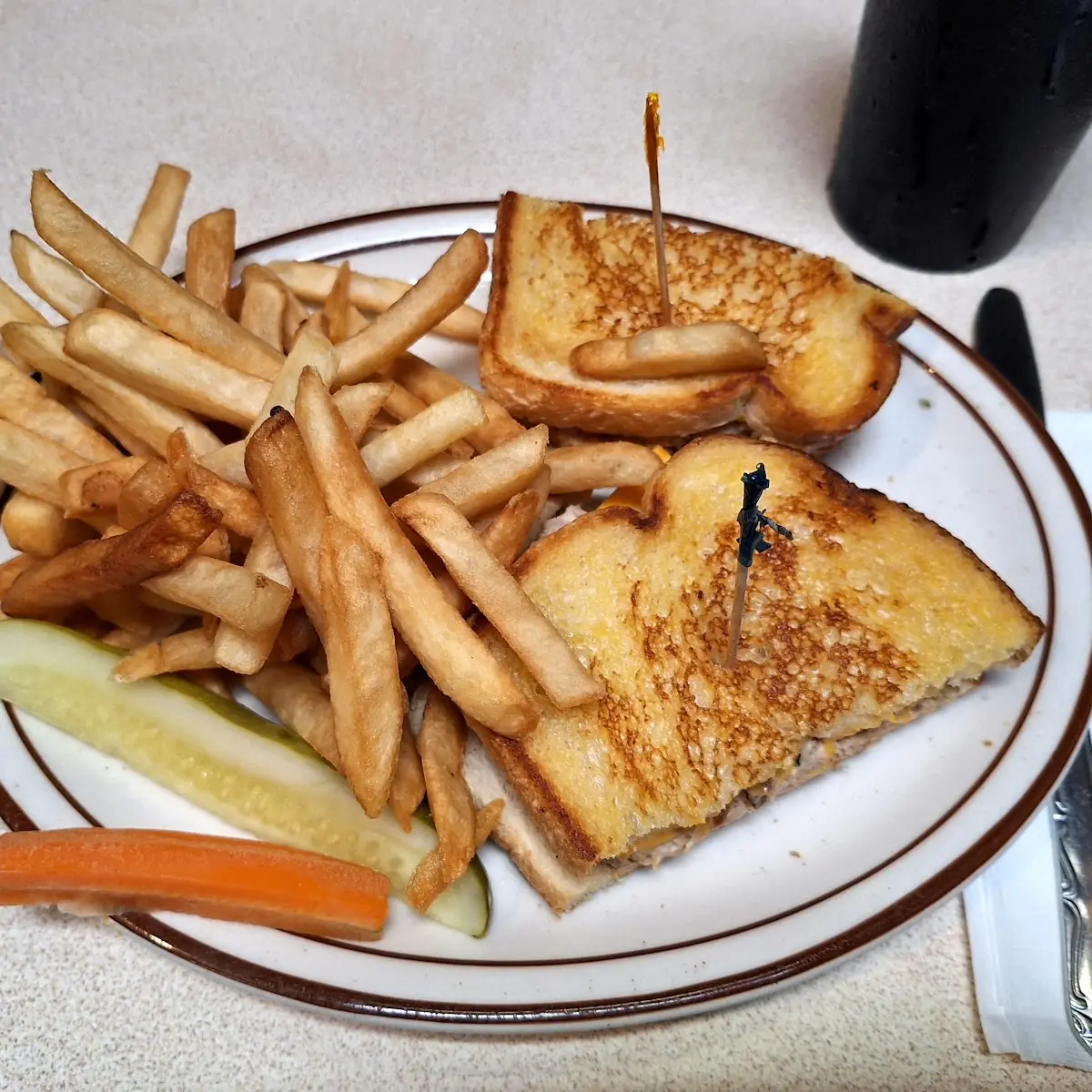 Turkey Burger & Fries dhb10