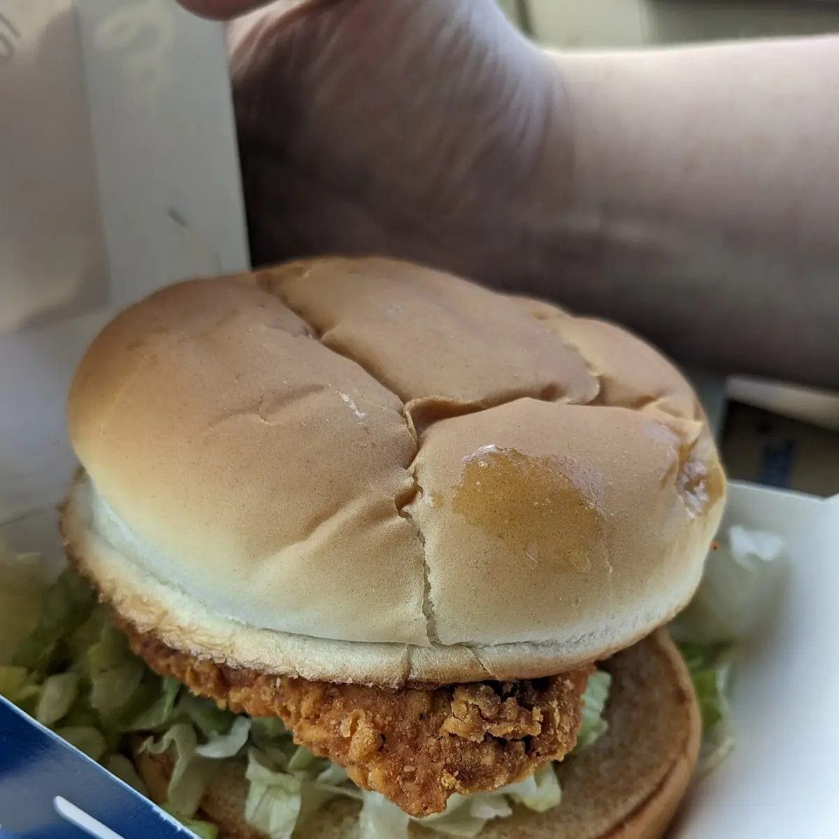 Chicken Sandwich