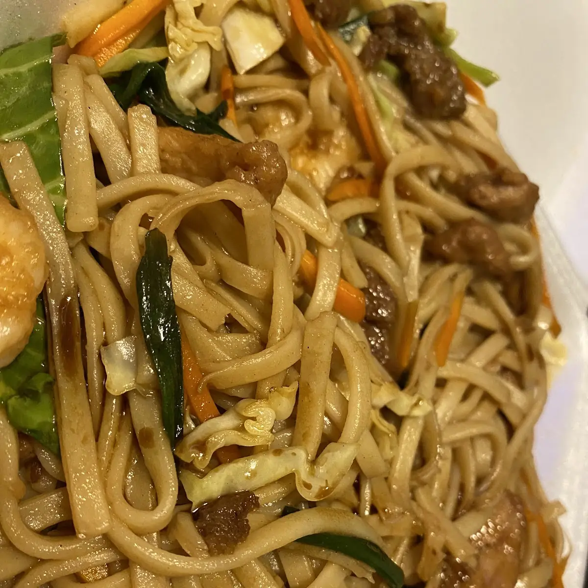 Lo Mein Noodles Combinazione