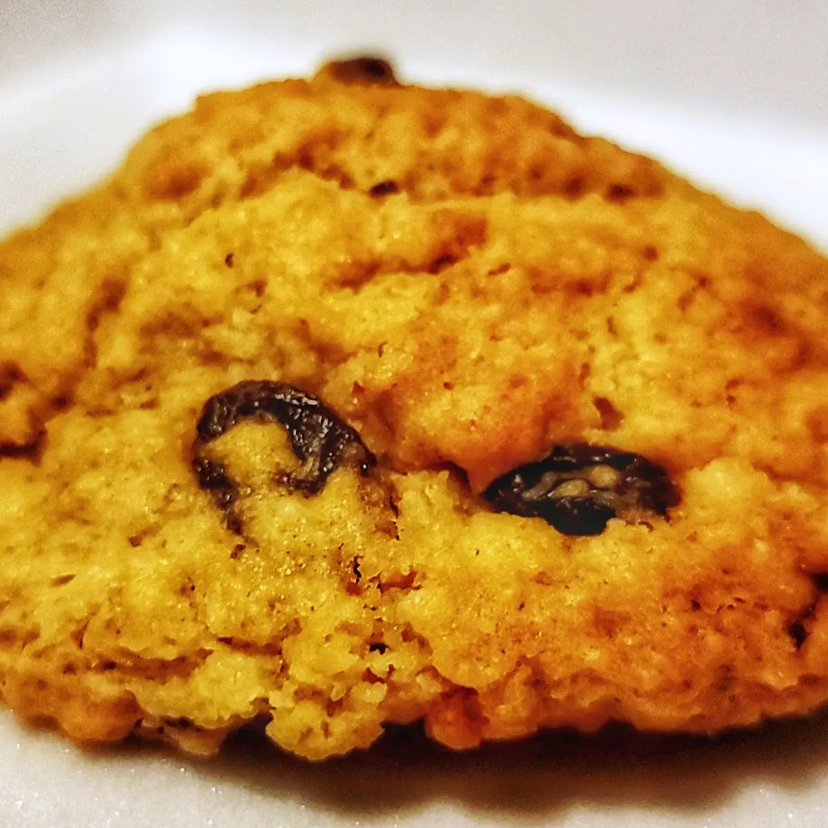 Oatmeal Raisin Cookie