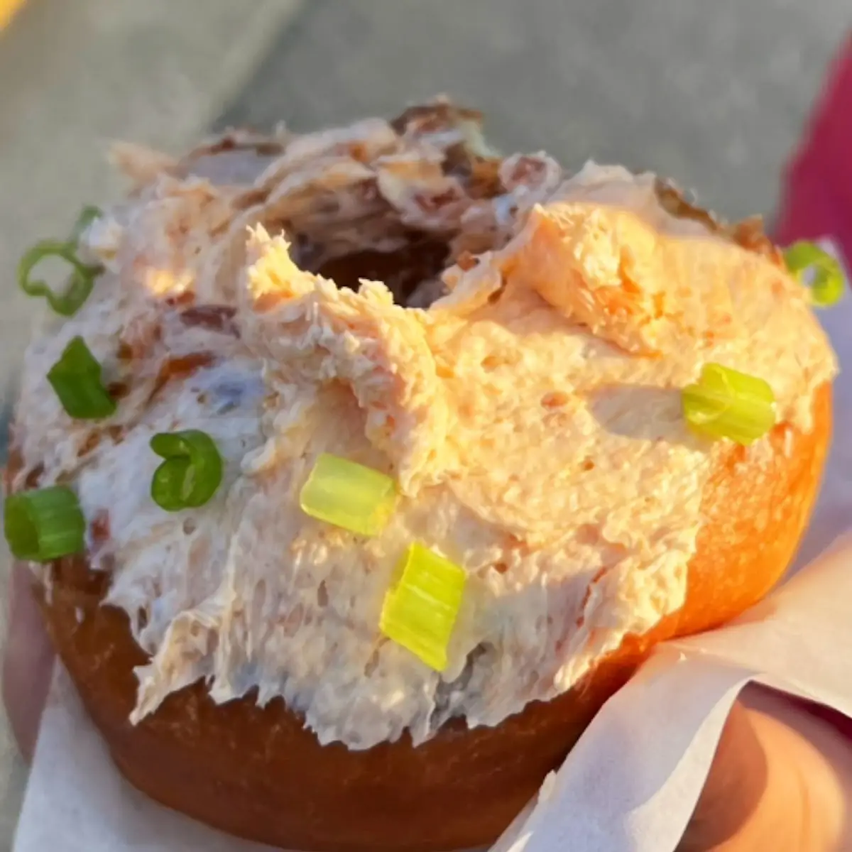 Salmon Doughnut