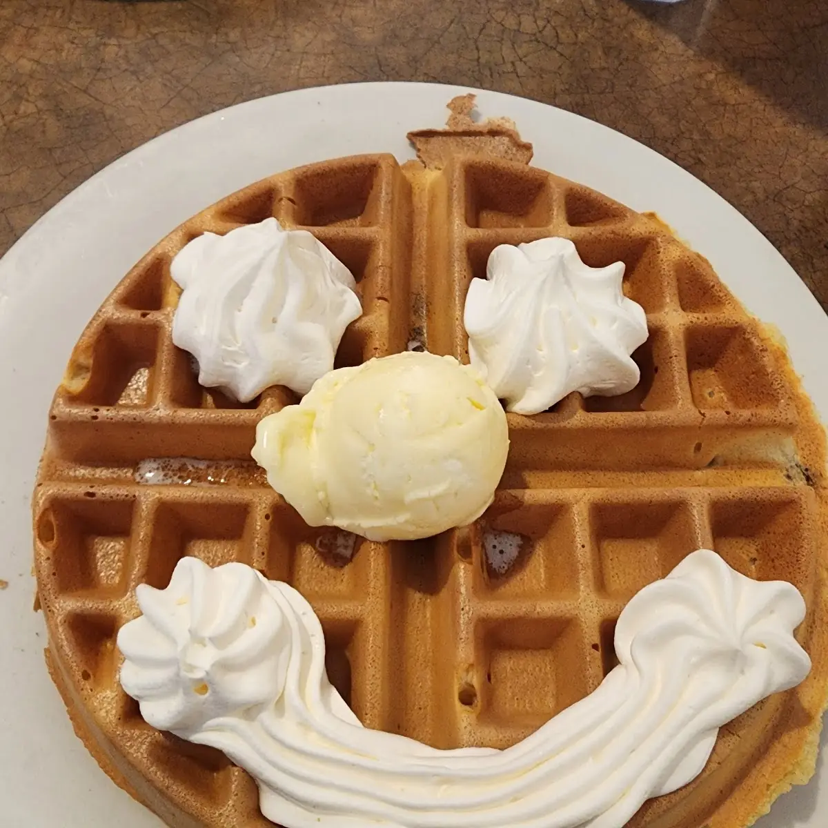 Chocolate Chip Belgian Waffle