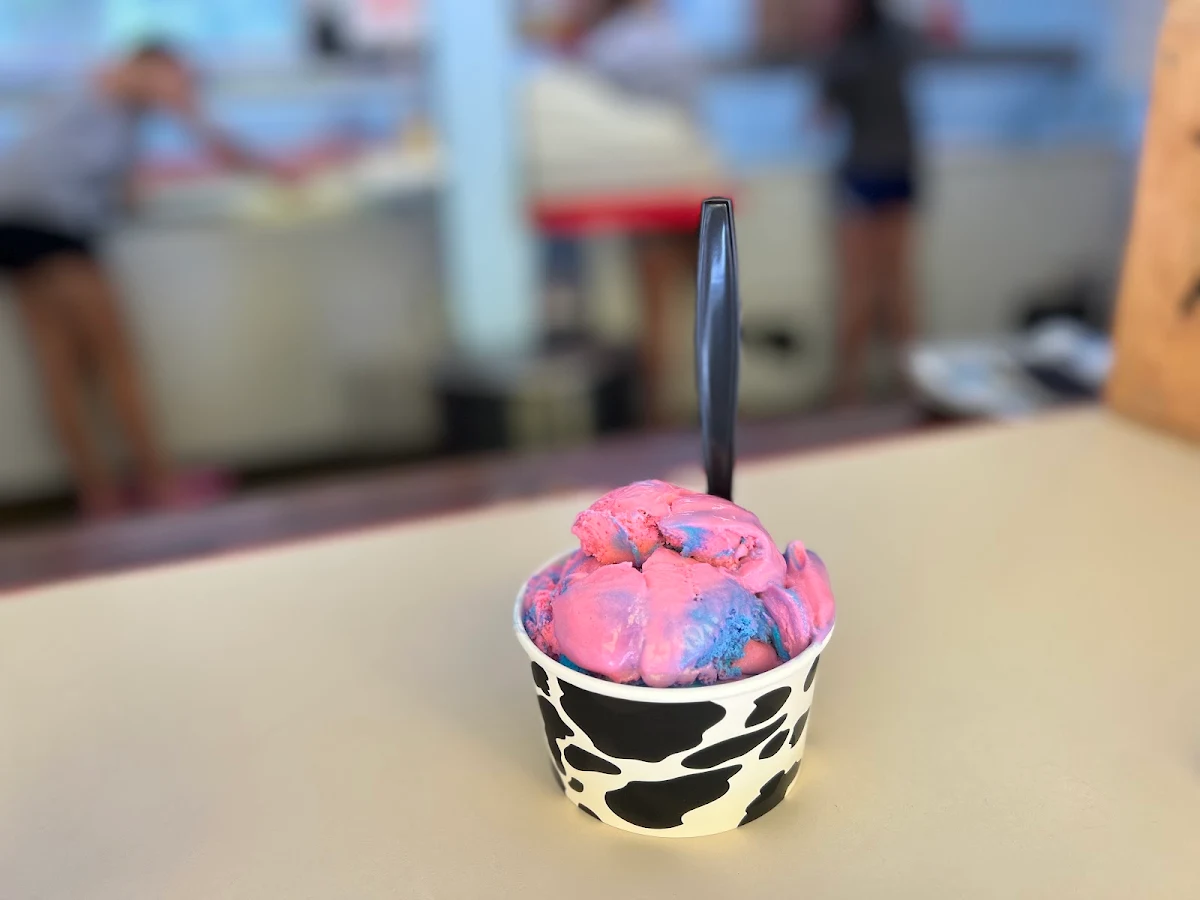 Huckleberry Ice Cream