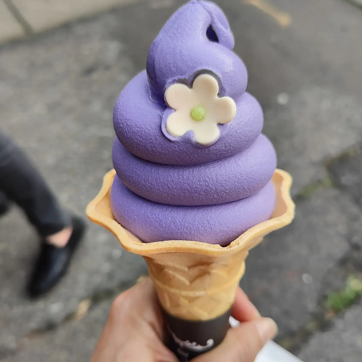 Soft Serve Ice Cream