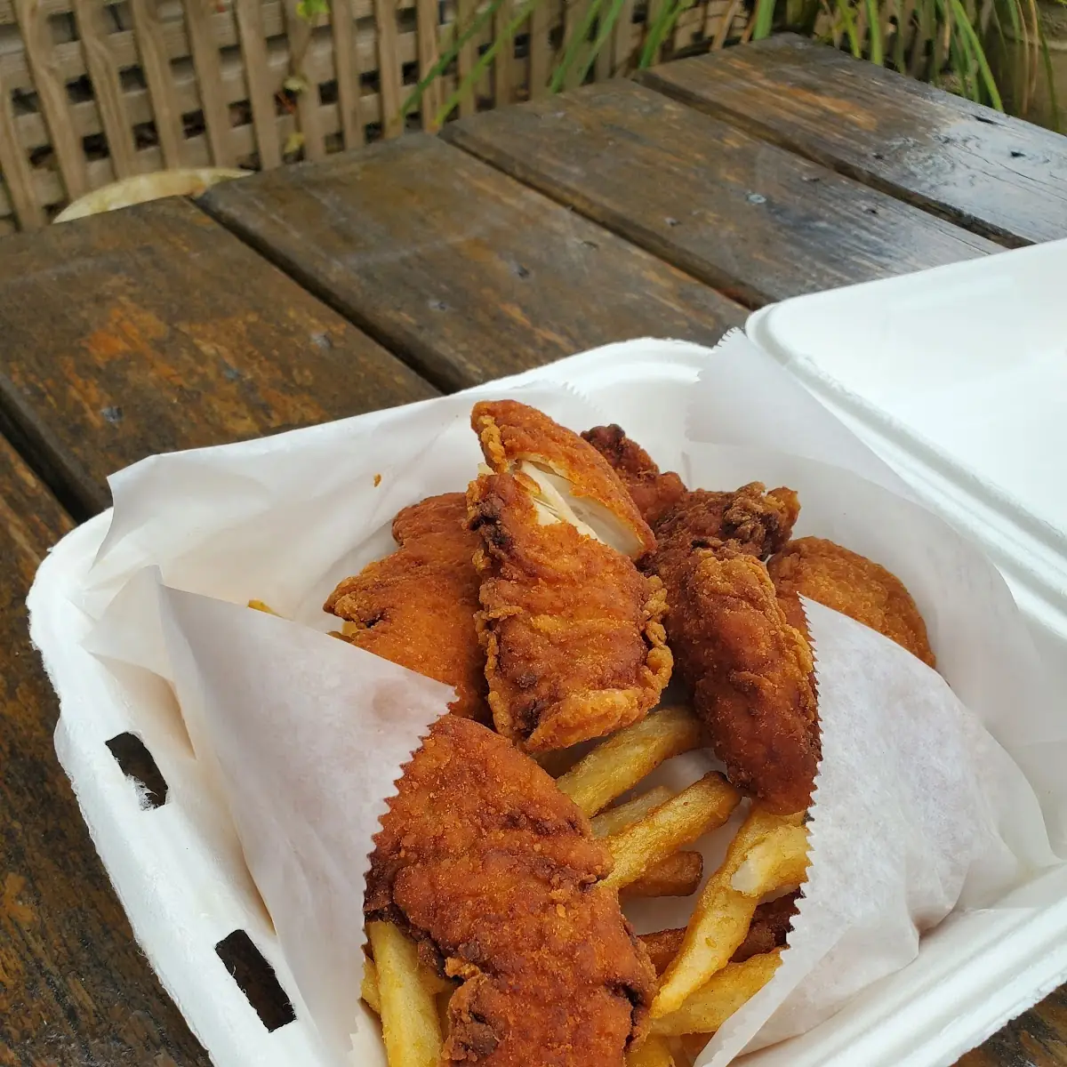 Kids Chicken Strips