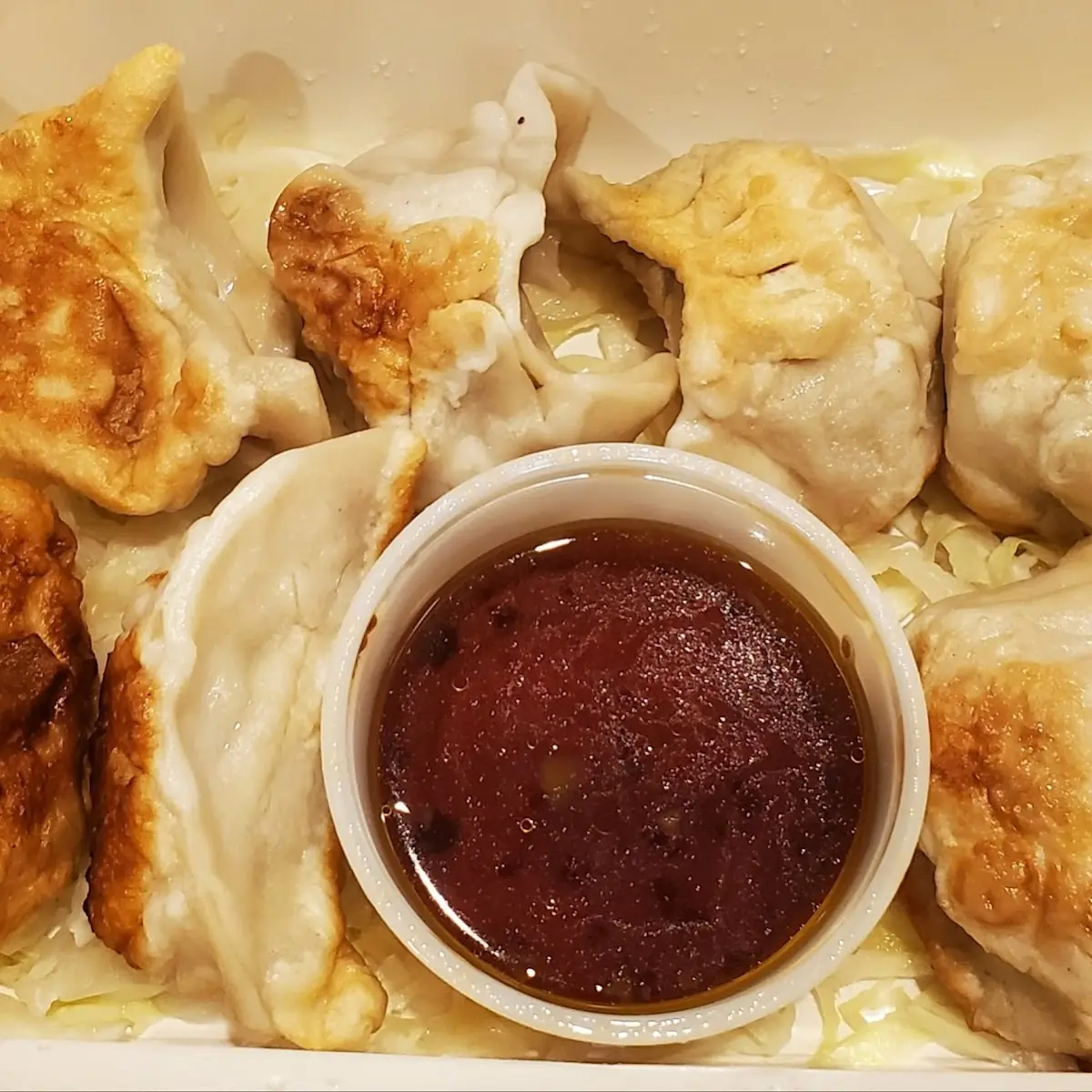 Potstickers Pan Fried Dumplings