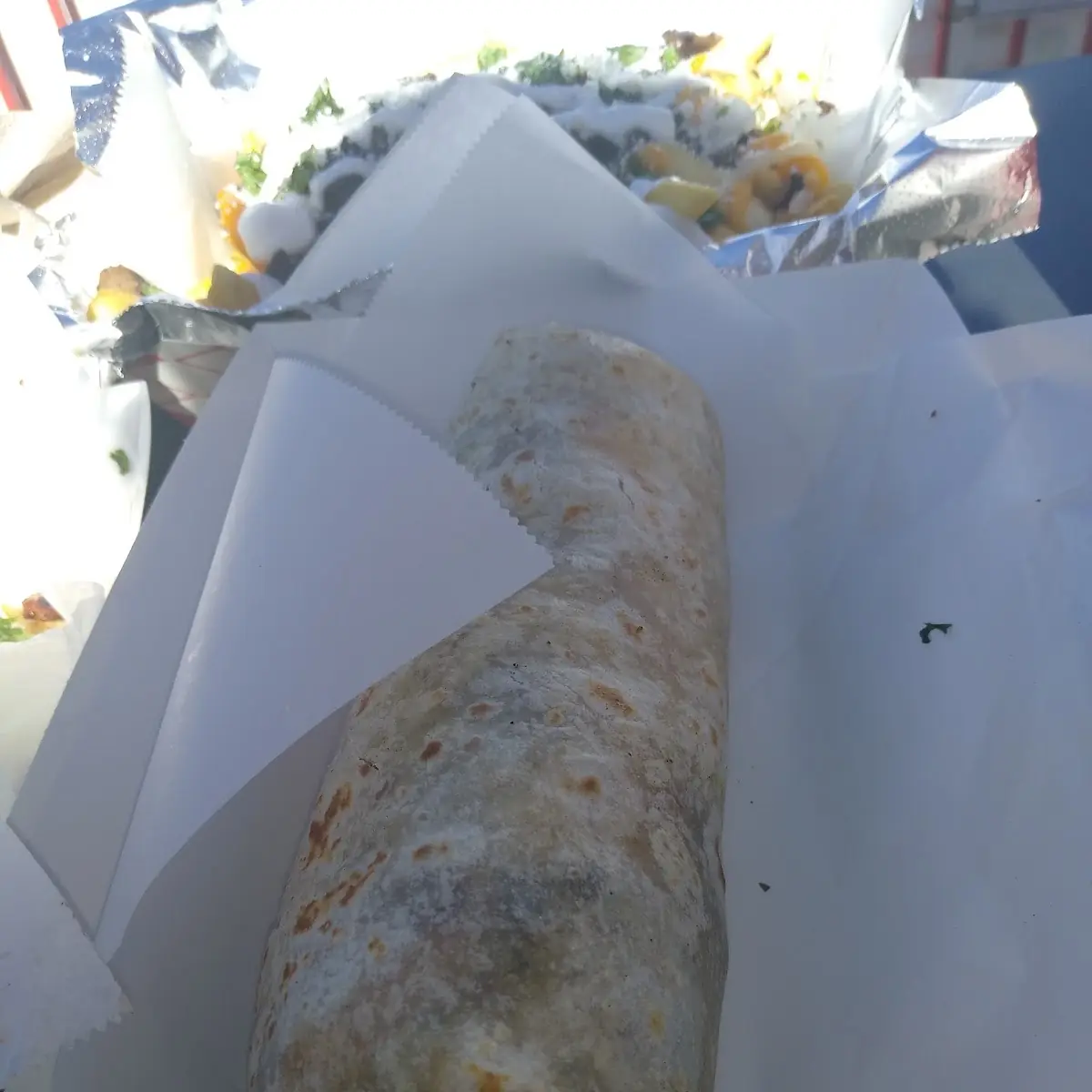Carne Asada Burrito