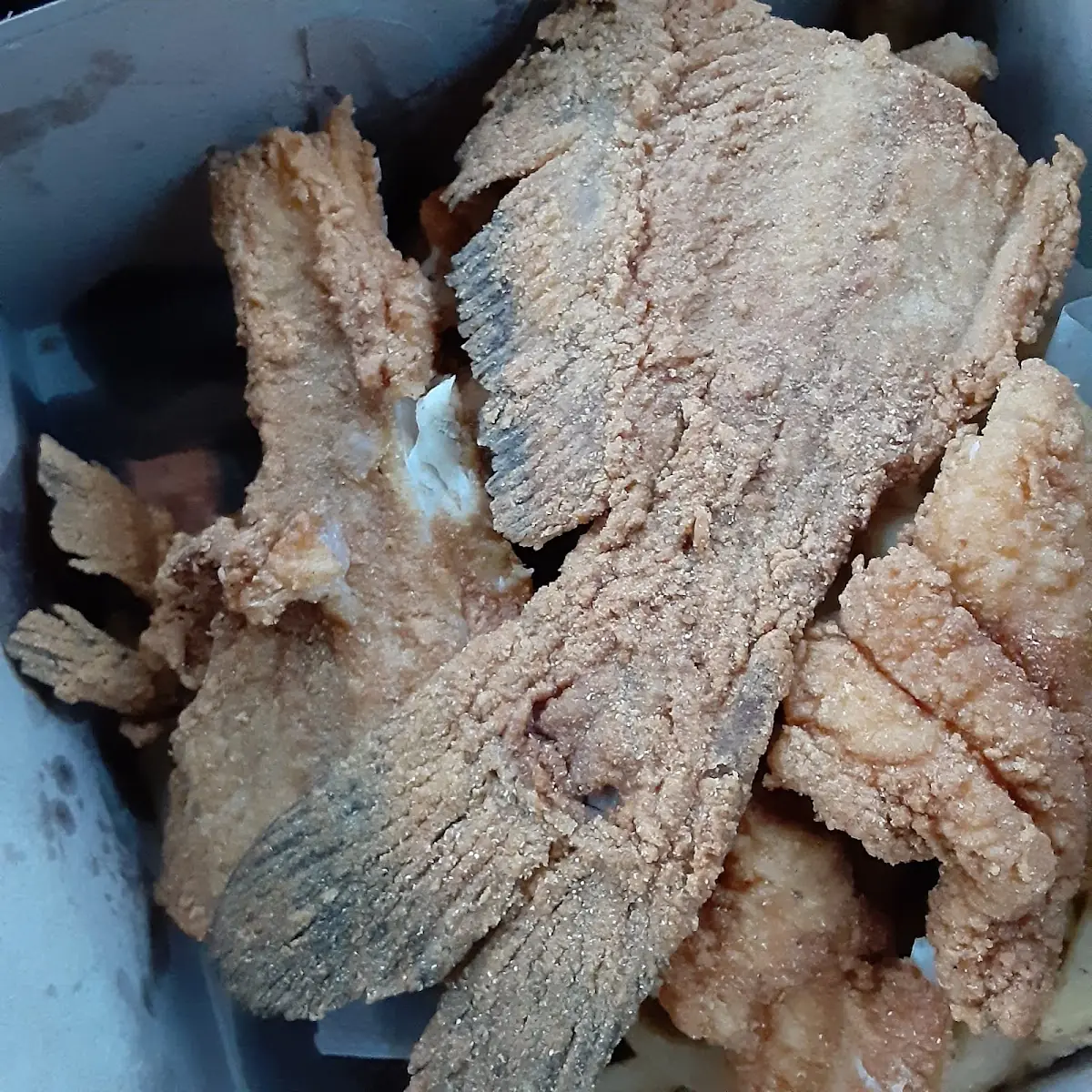 Fried Cat Fish